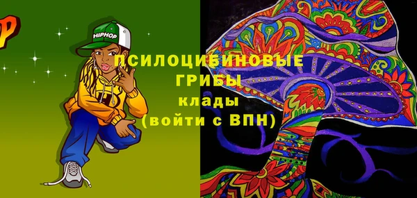 соль ск Алексин